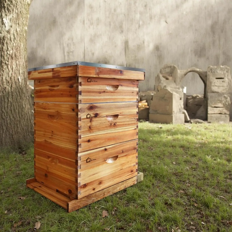 10-raams complete bijenkastset - Beehive Frame Wax recensie en prijs