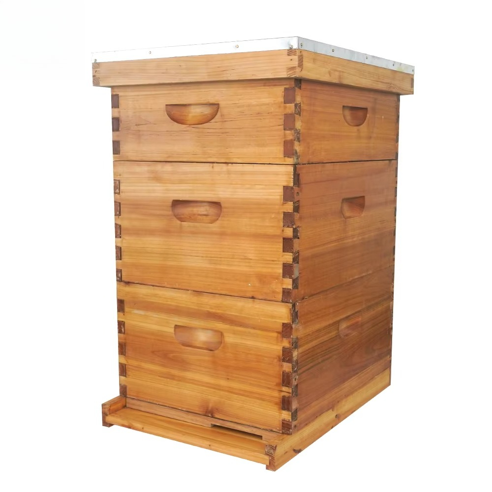 Complete 3-laags met was bedek - Beehive Frame Wax recensie en prijs