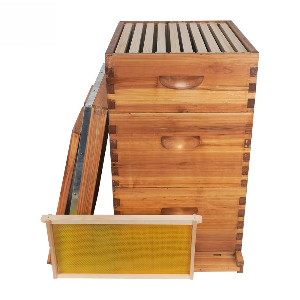 Complete 3-laags met was bedek - Beehive Frame Wax recensie en prijs