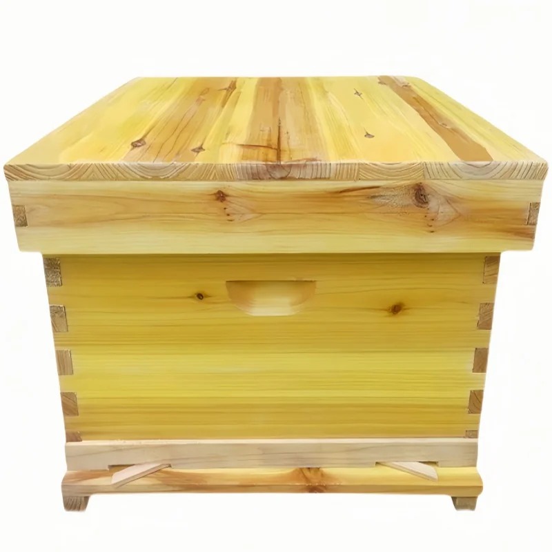 Bijenkorf in bijendoos, een vo - Beehive Frame Wax recensie en prijs