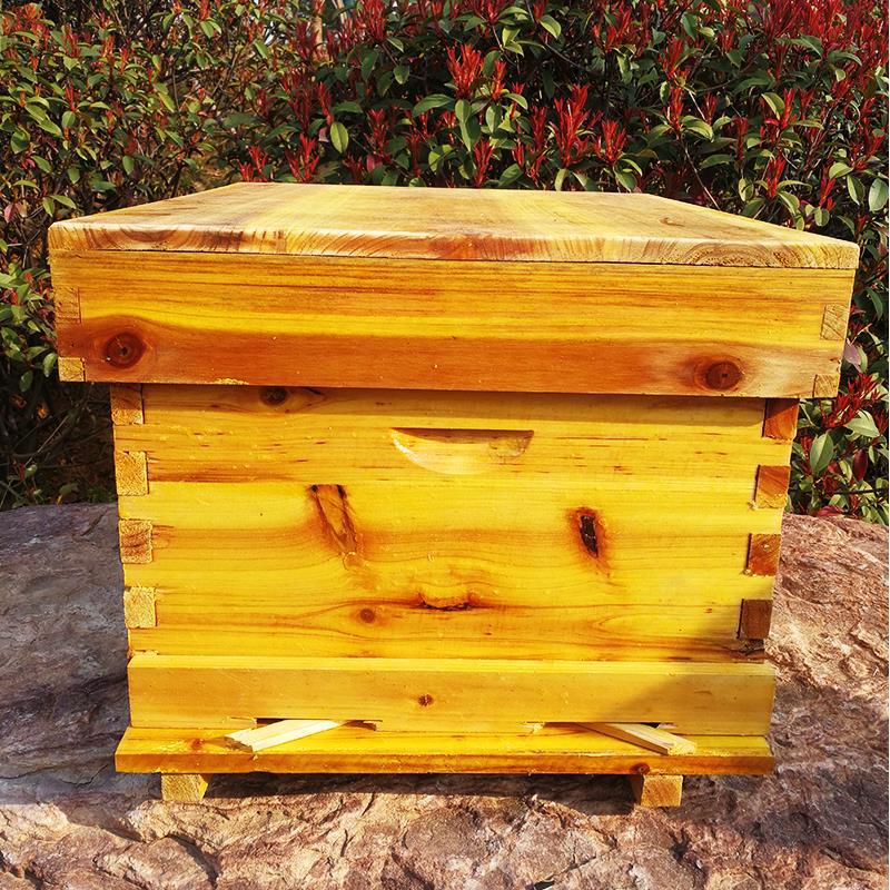 Bijenkorf, complete set bijent - Beehive Frame Wax recensie en prijs