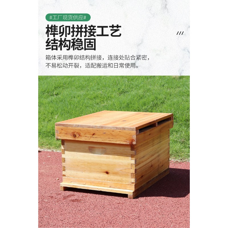 Houten bijenkast met 10 ramen, - Beehive Frame Wax recensie en prijs