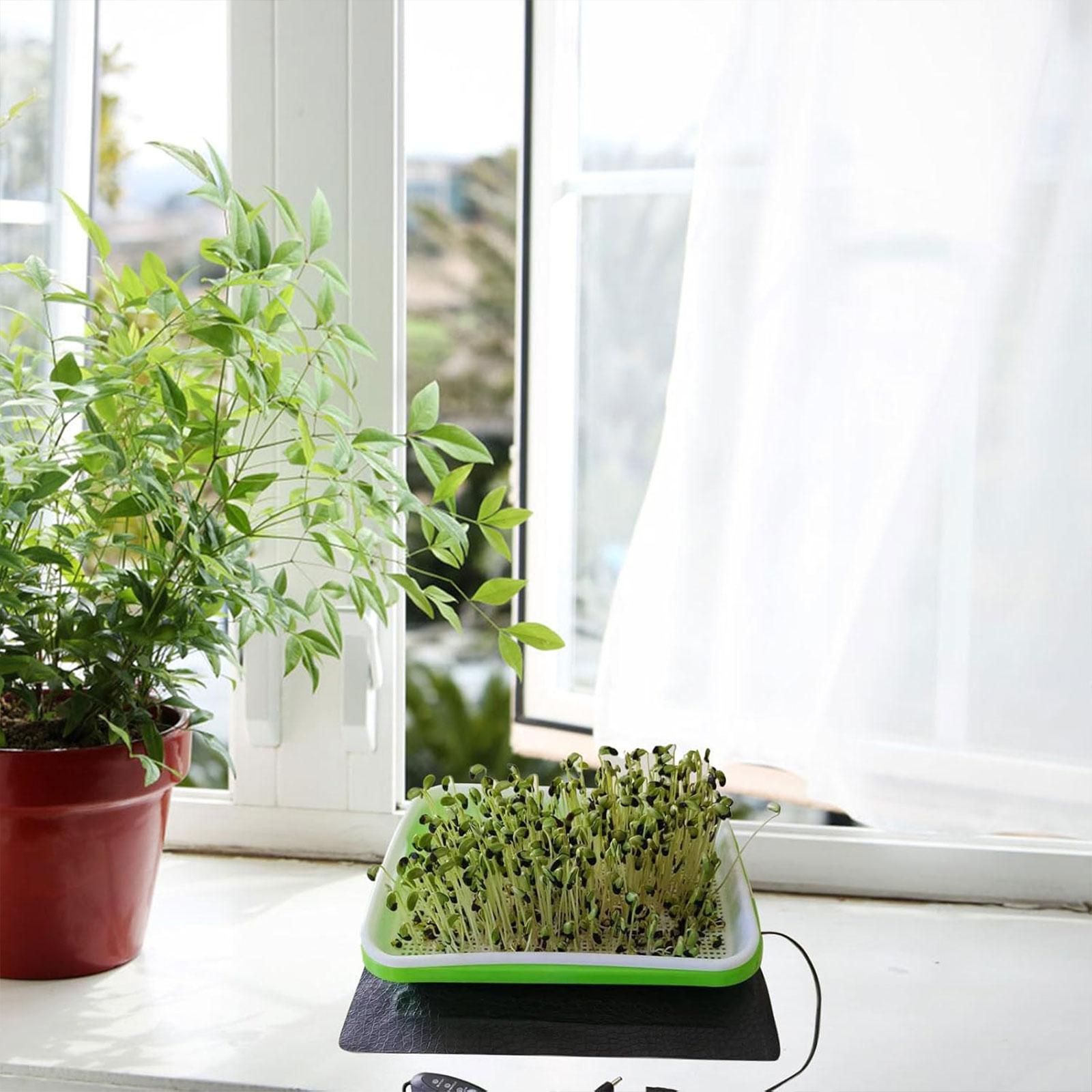 Hydroponische warmtemat voor z - Seedling Heat Mat recensie en prijs